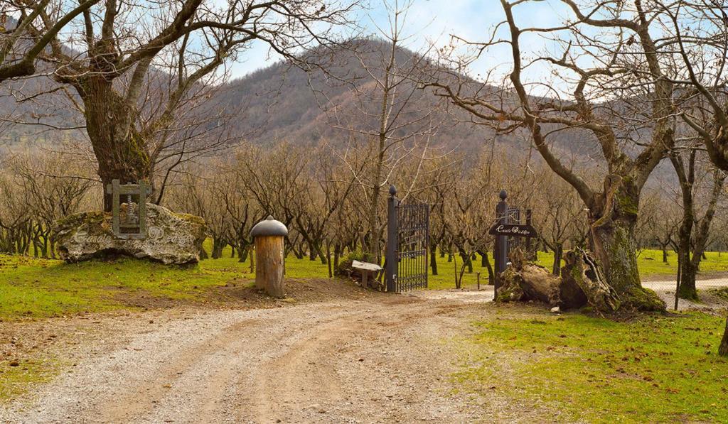 הוילה Calvanico Agriturismo Casale Pie D'Eco מראה חיצוני תמונה